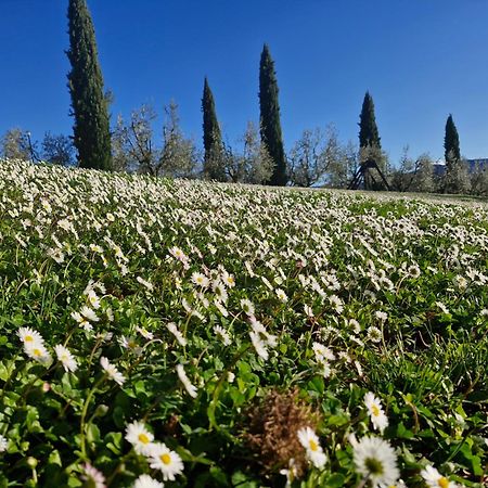 Agriturismo Val Della Pieve Anghiari Dış mekan fotoğraf