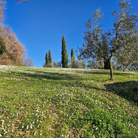 Agriturismo Val Della Pieve Anghiari Dış mekan fotoğraf