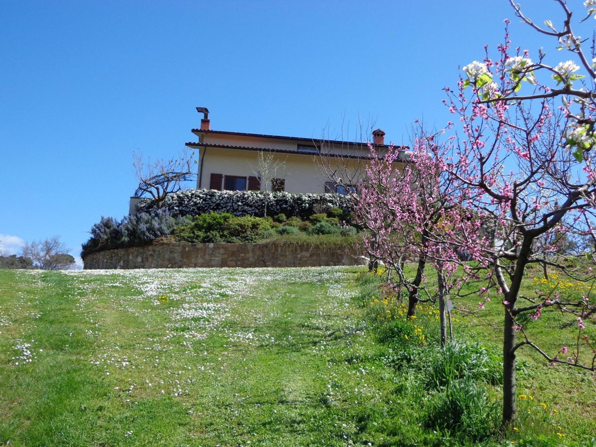 Agriturismo Val Della Pieve Anghiari Dış mekan fotoğraf