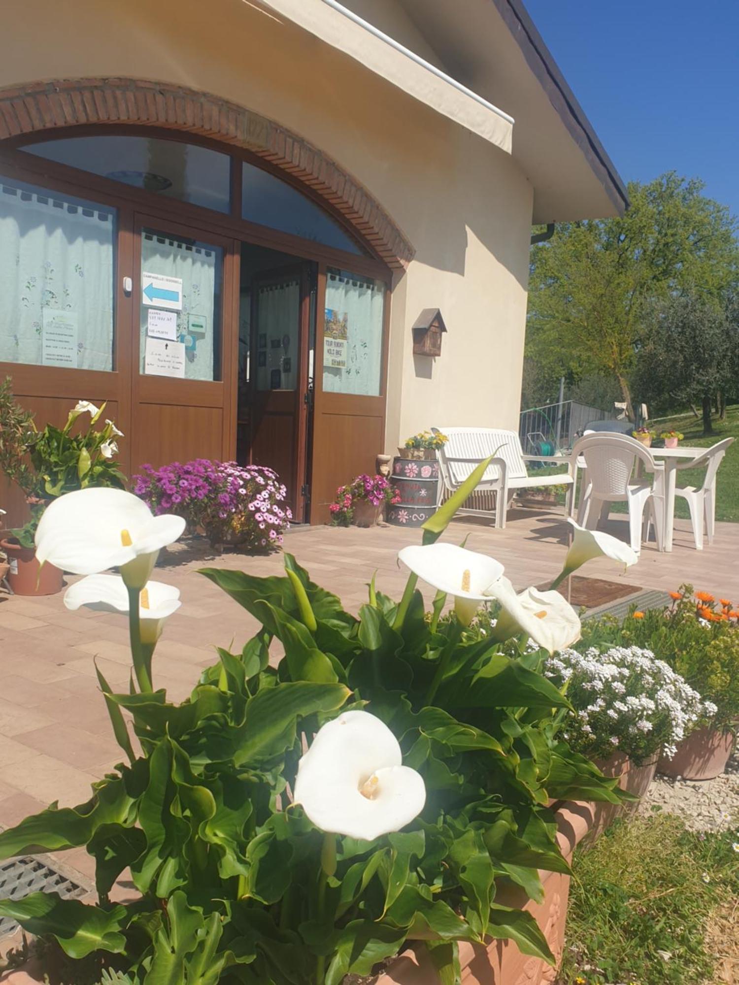 Agriturismo Val Della Pieve Anghiari Dış mekan fotoğraf