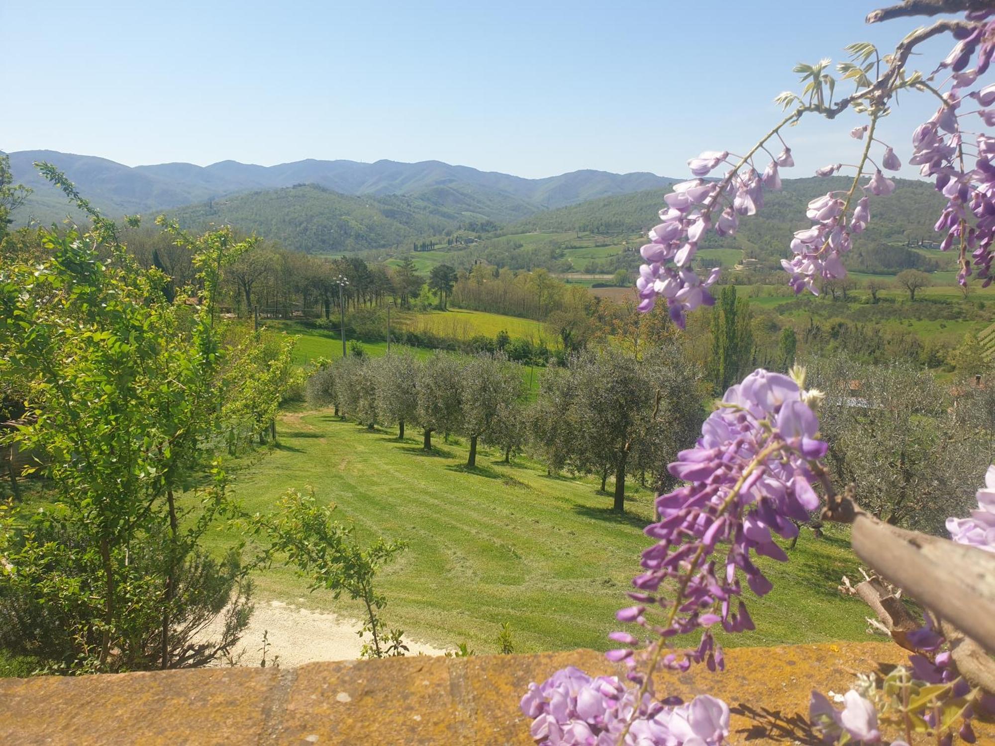 Agriturismo Val Della Pieve Anghiari Dış mekan fotoğraf