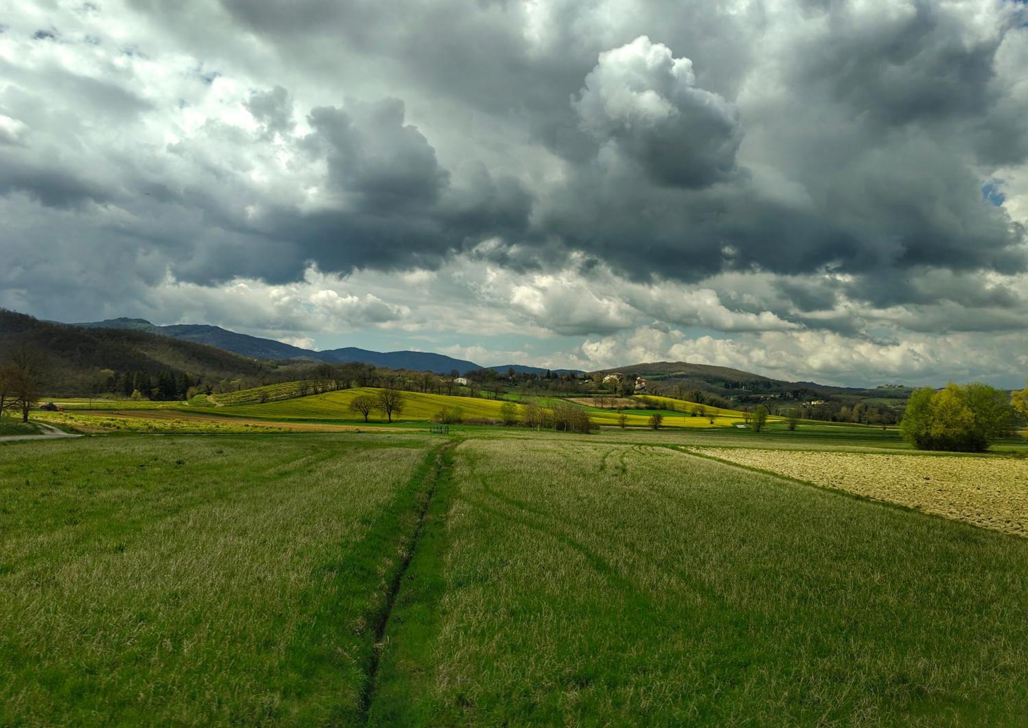 Agriturismo Val Della Pieve Anghiari Dış mekan fotoğraf
