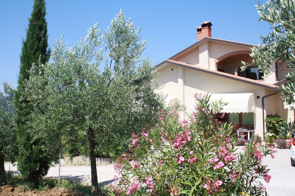 Agriturismo Val Della Pieve Anghiari Dış mekan fotoğraf